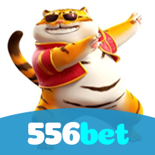 556bet:Onde sua sorte no futebol encontra prêmios em slots e roleta!